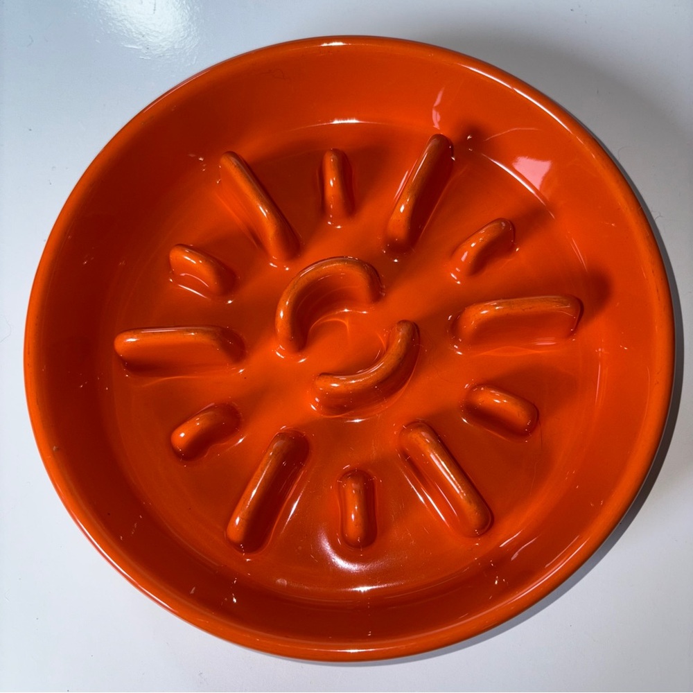Le Tauci Pet Dog 8” Bowl Orange Ceramic Slow Feed Feeder Maze Puzzle